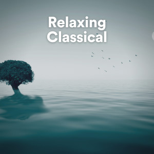 Various Artists的專輯Relaxing Classical