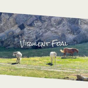 Various的专辑Virulent Foal