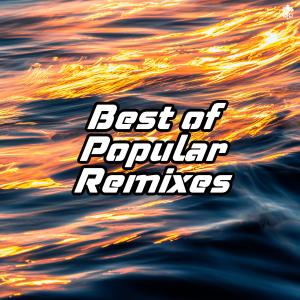 收聽Monster Jinx的Venera o Diabo(Faz Festas a Gatinhos) (DJ Manaia Remix)歌詞歌曲
