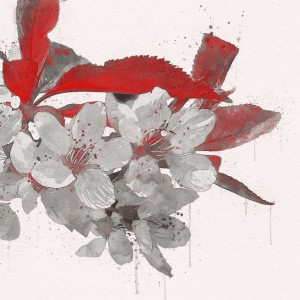 LIVW的专辑Go for it