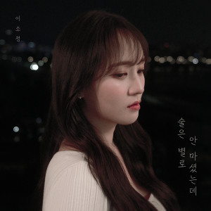 Album 술은 별로 안 마셨는데 (Barely had a drink) from 이소정