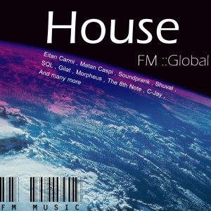 Various的专辑FM Global House - Volume 1