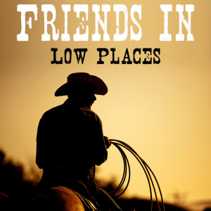 Album Friends in Low Places oleh Amarillo Cowboys