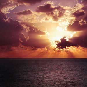 Dengarkan lagu Lily nyanyian Yoga Tribe dengan lirik