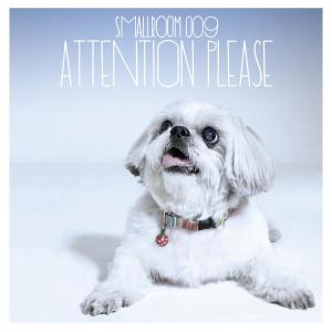 Album Smallroom 009 - Attention Please from Various