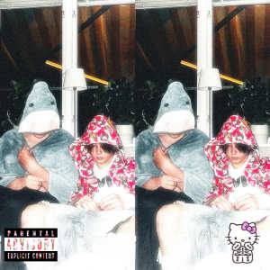 ดาวน์โหลดและฟังเพลง kittyswagg (Explicit) พร้อมเนื้อเพลงจาก ShadowTom