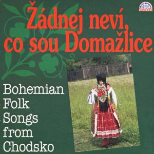 Jaromír Horák的專輯Žádnej neví, co sou Domažlice. Bohemian Folk Songs From Chodsko