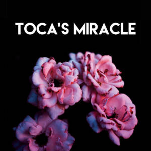 收聽CDM Project的Toca's Miracle歌詞歌曲