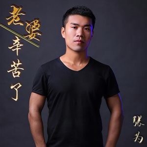 收聽張爲的老婆辛苦了 (伴奏)歌詞歌曲