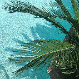 Listen to As If You've Been Under the Water song with lyrics from Study Music & Sounds