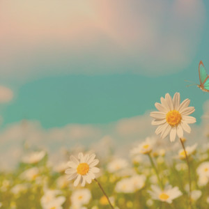 ดาวน์โหลดและฟังเพลง Perfect Break พร้อมเนื้อเพลงจาก Relaxation Sleep Meditation