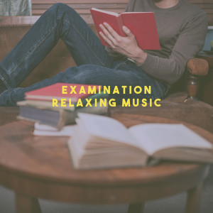 Album Examination Relaxing Music from Studying Music Group