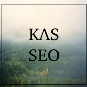 收聽KASSEO的Hustling歌詞歌曲