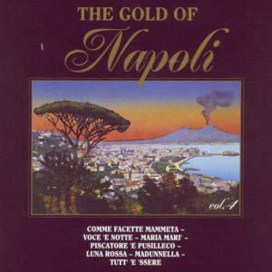 Album The Gold of Napoli Vol 4 from Various Artists