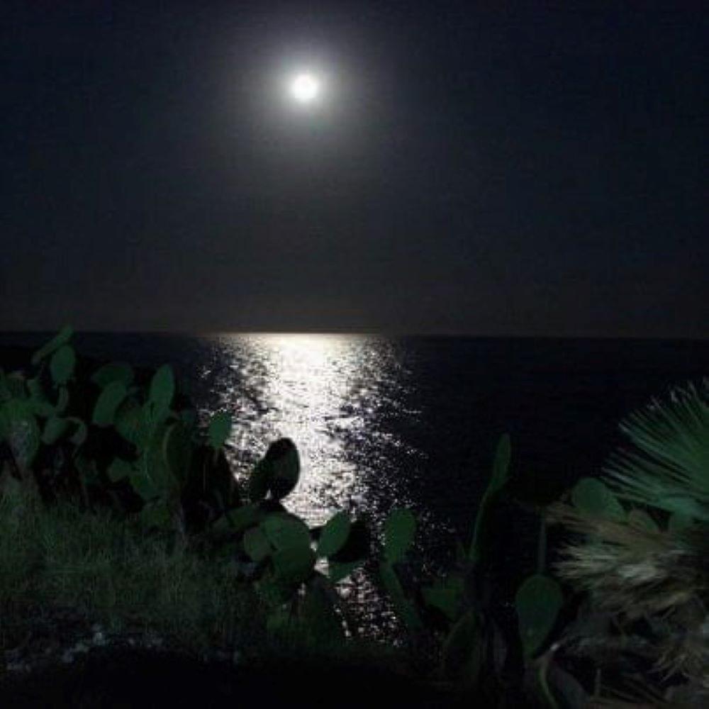 L'isola Nelle Tenebre