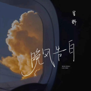 Album 晚风告白 (加速版) from 星野
