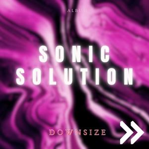DJ X vs. Sonic Solution的專輯DOWNSIZE