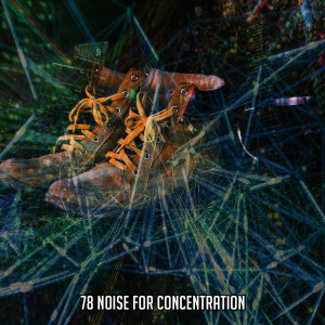 78 Noise for Concentration
