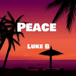 ดาวน์โหลดและฟังเพลง Peace พร้อมเนื้อเพลงจาก Luke B