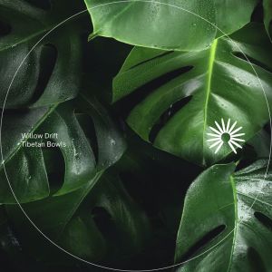 ดาวน์โหลดและฟังเพลง Tibetan Bowls พร้อมเนื้อเพลงจาก Willow Drift