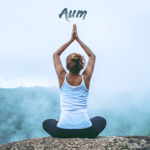 收聽Aum Relaxing Music的Focus歌詞歌曲