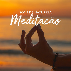 อัลบัม Sons da Natureza (Meditação para Acalmar a Mente) ศิลปิน Natureza Musica Bem-Estar Academia