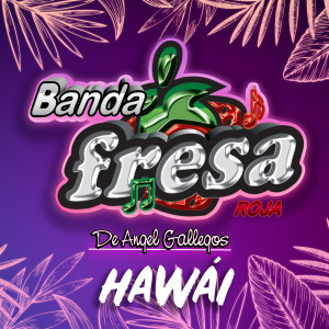 Listen to Hawái song with lyrics from Banda Fresa Roja