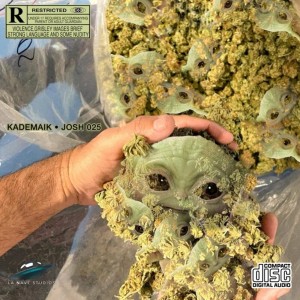 Listen to Baby Yoda (Explicit) song with lyrics from Kademaik