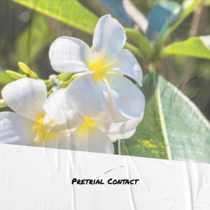 Listen to Positive Chitchat song with lyrics from Cela Wens