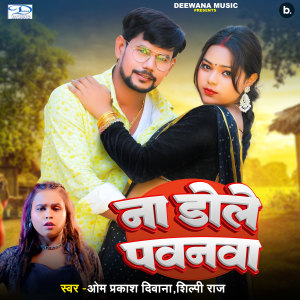 Listen to Na Dole Pawanwa song with lyrics from Om Prakash Diwana