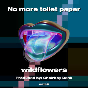 อัลบัม No more toilet paper (Explicit) ศิลปิน Wildflowers