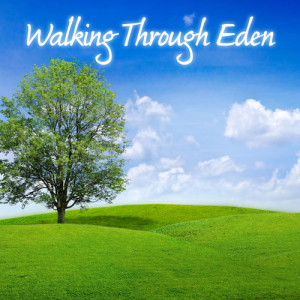 收聽The Faith Crew的Heaven in Your Eyes歌詞歌曲