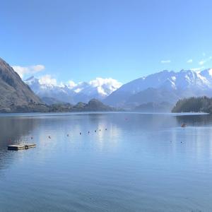 Dengarkan Dreamy Vision lagu dari Travis Varga dengan lirik