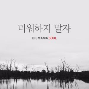 Album 미워하지 말자 oleh Big Mama Soul