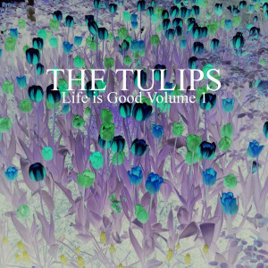ดาวน์โหลดและฟังเพลง Gurner พร้อมเนื้อเพลงจาก The Tulips