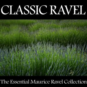 ดาวน์โหลดและฟังเพลง Trio For Piano, Violin And Violoncello In A Minor - Passacaille: Très Large พร้อมเนื้อเพลงจาก Trio Tartini