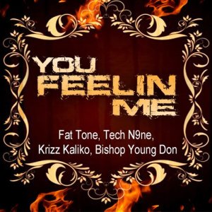 ดาวน์โหลดและฟังเพลง You Feelin' Me (Explicit) พร้อมเนื้อเพลงจาก Fat Tone