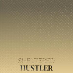 Various的专辑Sheltered Hustler