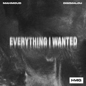 Album everything i wanted oleh Dimmalou
