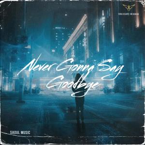 Listen to Never Gonna Say Goodbye song with lyrics from SaoulMusic
