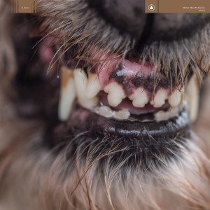 ดาวน์โหลดและฟังเพลง Silent Treatment พร้อมเนื้อเพลงจาก Blanck Mass