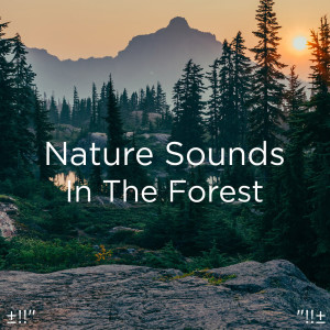 Dengarkan Peaceful Stream lagu dari Yoga dengan lirik