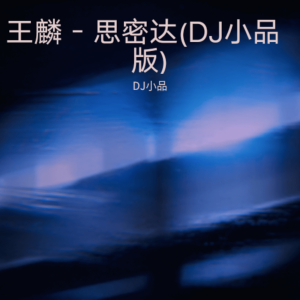 Album 王麟 - 思密达(DJ小品版) from DJ小品
