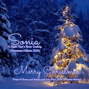 收聽Sonia的A Night That's Never Ending (Sakgra 2020 Christmas Mix)歌詞歌曲