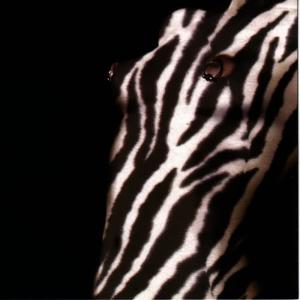 收聽The Quick Fix的Animal Love歌詞歌曲