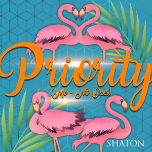 ดาวน์โหลดและฟังเพลง Priority (Explicit) พร้อมเนื้อเพลงจาก Shaton