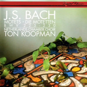 Ageet Zweistra的專輯Bach, J.S.: 6 Motets