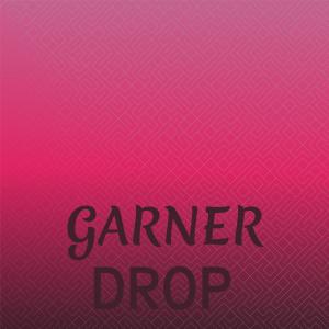 Album Garner Drop from Various