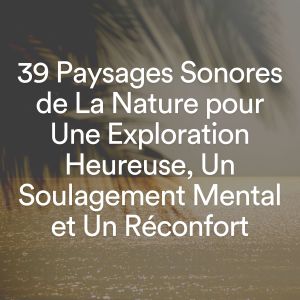 Sons De La Nature的專輯39 Paysages Sonores de La Nature pour Une Exploration Heureuse, Un Soulagement Mental et Un Réconfort