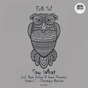 收听Erik Sol的Say What歌词歌曲